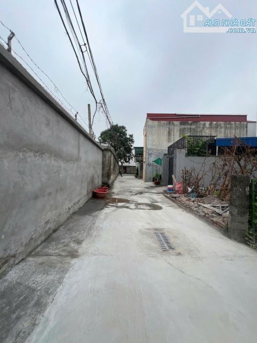⭐⭐⭐Bán 115m2 ngõ 48 Lệnh Bá Chính Trọng, Quỳnh Cư. Hùng Vương, Hồng Bàng  ♦️