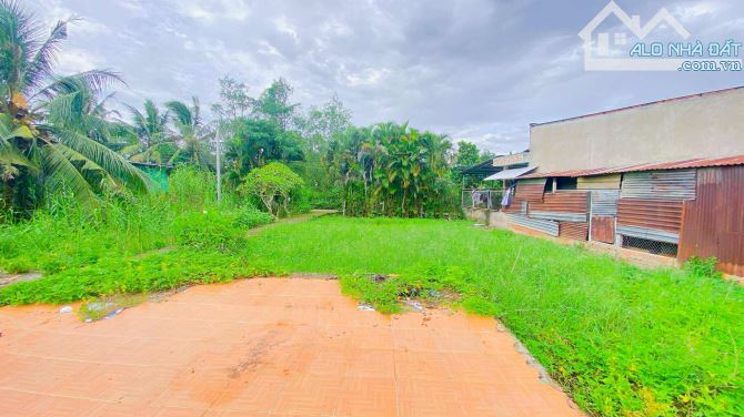 Bán đất 3.100 m2 hẻm Nguyễn Văn Linh có view sông - 10
