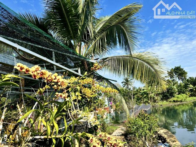 ✨ Hơn 6.100M2 (thực tế gần 7.000M2) đường hiện hữu 4M, bám suối, có ao cá mênh mông - 5 TỶ - 10