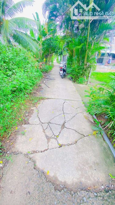 Bán đất 3.100 m2 hẻm Nguyễn Văn Linh có view sông - 11