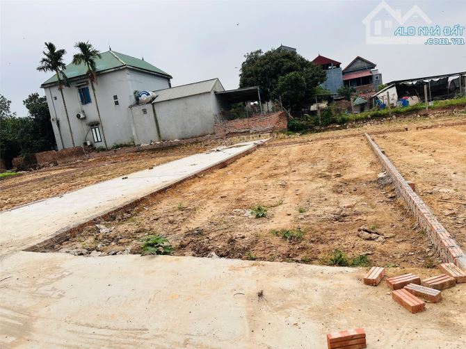 Bán lô góc siêu đẹp 96m2 tại Tân Lương, Hiền Ninh sát trục chính, đường ô tô giá tốt - 1