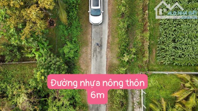 Thái Mỹ, HCM bán lô đất diện tích rộng 700m2 sẵn thổ cư giá 3,8ty - 1