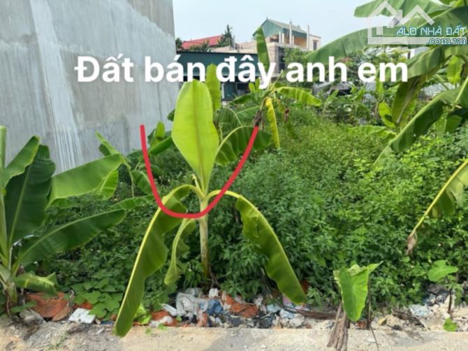 ĐẤT ĐẸP VUÔNG VẮN – Ô TÔ VÀO TẬN ĐẤT – SONG PHƯỢNG, ĐAN PHƯỢNG – 102M² – 6,55 TỶ - 1