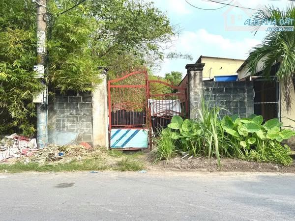 Ngộp đất thổ vườn 8x50=403m2 đường Cây Trôm Mỹ Khánh, Thái Mỹ, Sổ hồng riêng, Giá 800tr - 1