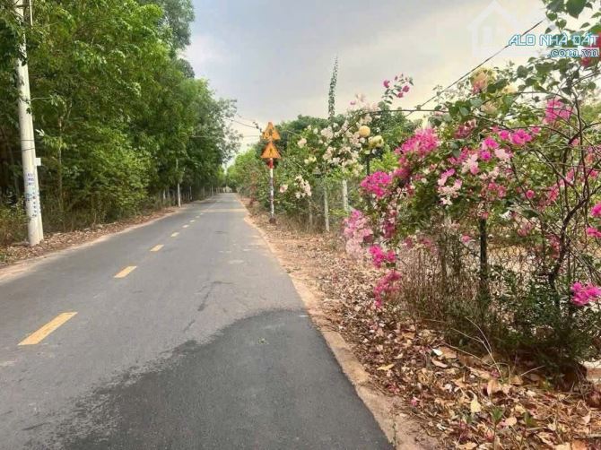 BÁN ĐẤT MT DH606, P.AN ĐIỀN, TP.BẾN CÁT, DT:14x56, TC100M2, SHR, GIÁ 3,2 TỶ - 1