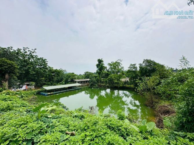 BÁN ĐẤT: DT 4403 M 0TN 400 M LIÊN SƠN  LƯƠNG SƠN HÒA BÌNH  - giá 1.9 tr /1m  - lưng tựa nú - 1