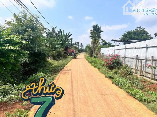 Hòa Đông lô đất sào 3 mặt tiền gần đường Hồ Chí Minh - cao tốc BUôn Ma Thuột - Khánh Hòa - 1