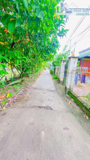 Bán đất 3.100 m2 hẻm Nguyễn Văn Linh có view sông - 1