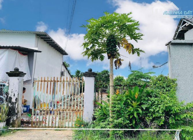 ĐẤT THỊ TRẤN CỦ CHI 7,5x37m Giá BÁN NGỘP 620 Tr Đường Nguyễn Văn Ni. - 1
