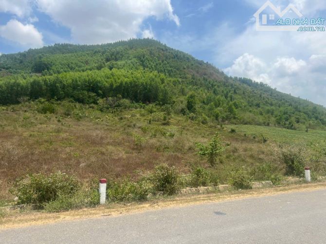 Bán đất MT Tỉnh lộ 5, xã Tây Ninh Hòa vị trí đẹp tiềm năng cao - 1