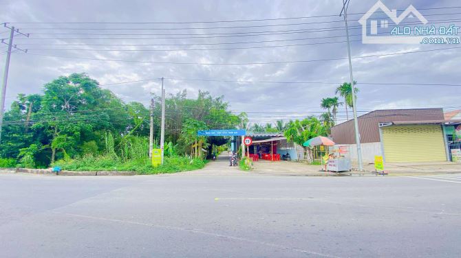 Bán đất 3.100 m2 hẻm Nguyễn Văn Linh có view sông - 12