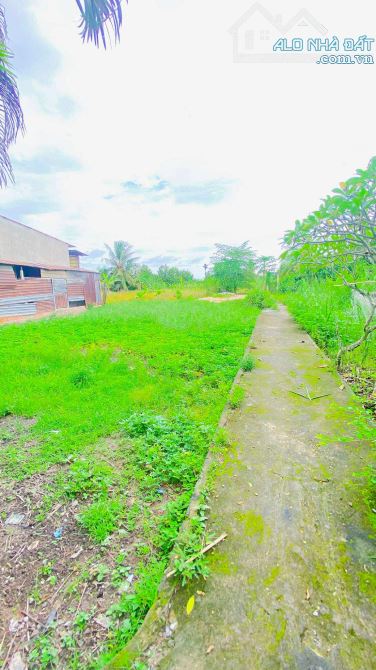 Bán đất 3.100 m2 hẻm Nguyễn Văn Linh có view sông - 13