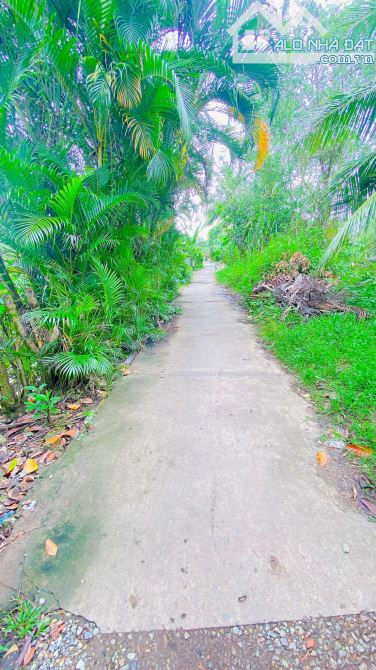 Bán đất 3.100 m2 hẻm Nguyễn Văn Linh có view sông - 14