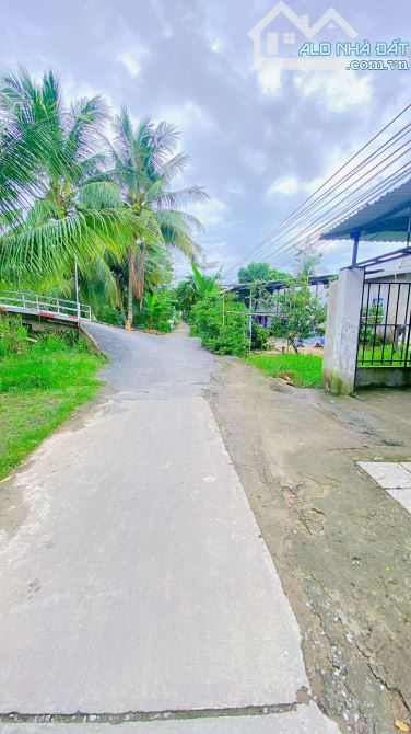 Bán đất 3.100 m2 hẻm Nguyễn Văn Linh có view sông - 15