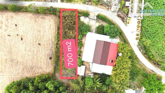 Thái Mỹ, HCM bán lô đất diện tích rộng 700m2 sẵn thổ cư giá 3,8ty - 2