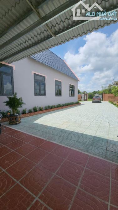 Bán nhà vườn 2.200m² tại An Ninh Đông, Đức Hòa – Gần TP.HCM, sổ hồng riêng - 2