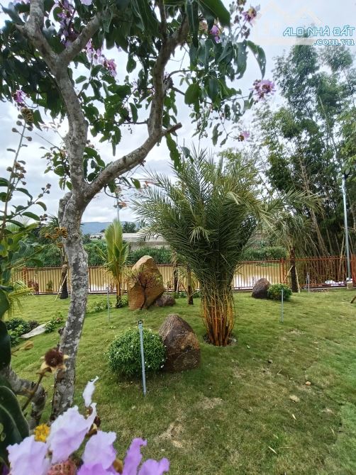 Đất nền trung tâm xã Đức Trọng Lâm Đồng với hạ tầng hoàn chỉnh sổ riêng khu dân cư an ninh - 2