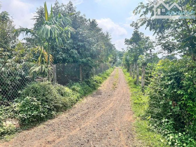 Hòa Đông lô đất sào 3 mặt tiền gần đường Hồ Chí Minh - cao tốc BUôn Ma Thuột - Khánh Hòa - 2