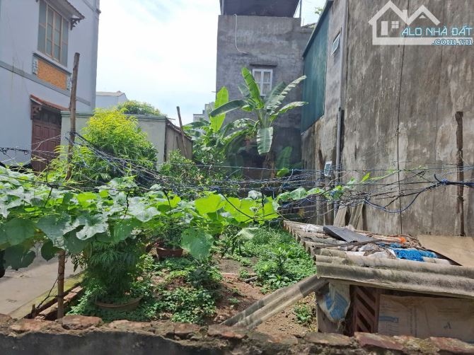 🔥50M2 ĐẤT VUÔNG ĐẸP 6.95 TỶ/ Ô TÔ VÀO ĐẤT–1 BƯỚC OTO TRÁNH - GIÁ TỐT PHÚC LỢI,LONG BIÊN - 2