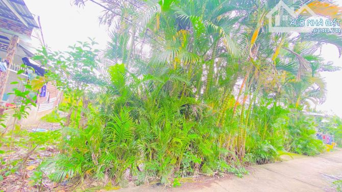 Bán đất 3.100 m2 hẻm Nguyễn Văn Linh có view sông - 2