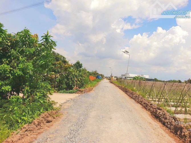 Hàng thơm, 783m2 đất thổ view kênh cực đẹp chỉ 1 tỷ 50tr - 2