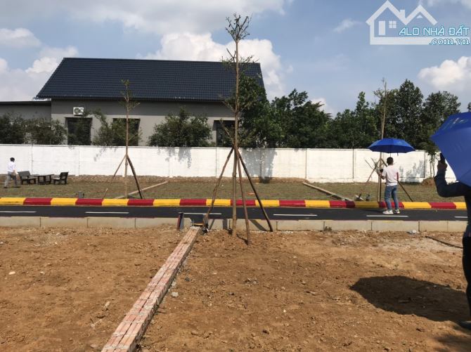 Bán mảnh đất 19tr/m2 tại Cổ Đông,Sơn Tây,vị trí tiềm năng,giá cực tốt - 2