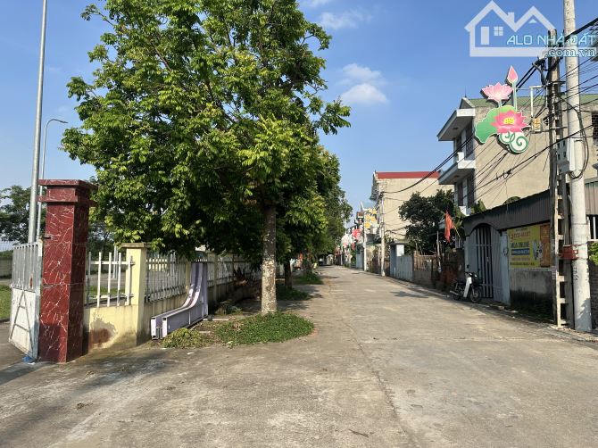 Bán mảnh đất 160m2 bìa Bắc thôn Thố Bảo,Vân Nội,Đông Anh,Hà Nội - 2
