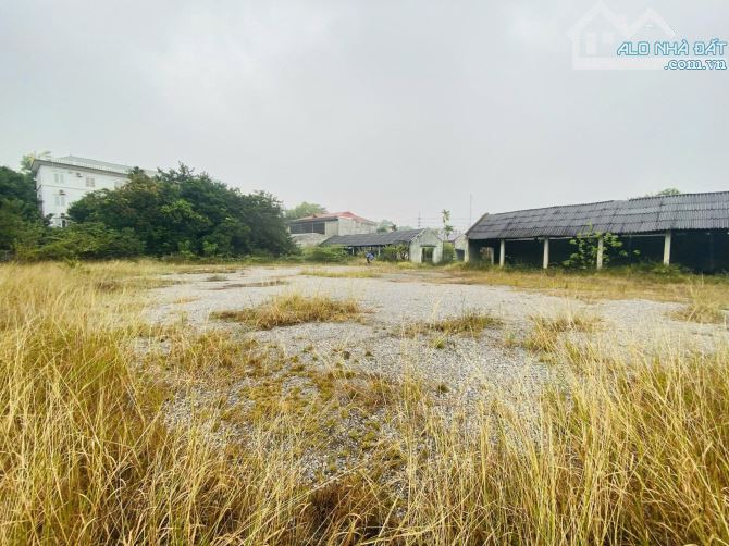 Bán gần 3300m2 đất doanh nghiệp mặt đường  Đình ấm, Khai quang , Vĩnh yên. - 2