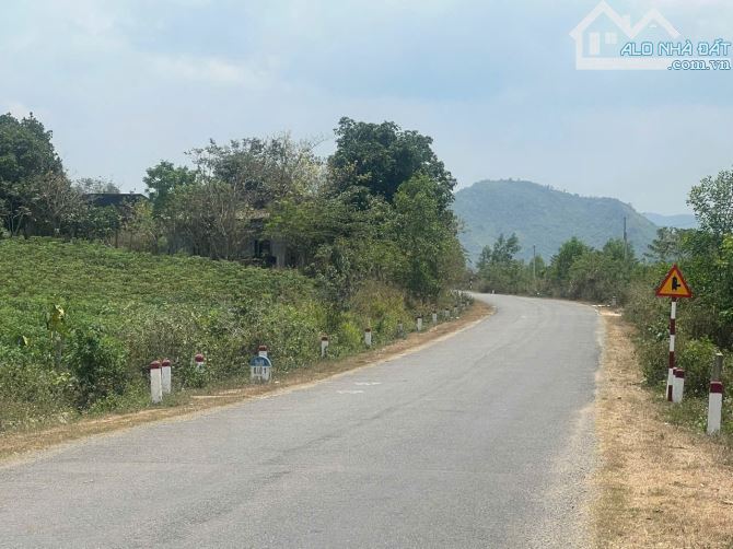 Bán đất MT Tỉnh lộ 5, xã Tây Ninh Hòa vị trí đẹp tiềm năng cao - 2