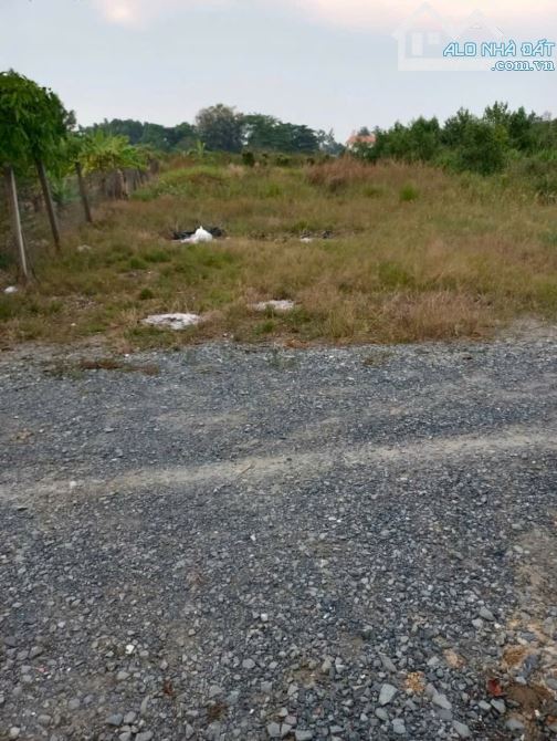 500m2 Đất Phường Tân Hạnh Cách Đường phạm Văn Diêu 1xẹt. 1Tỷ9 - 2