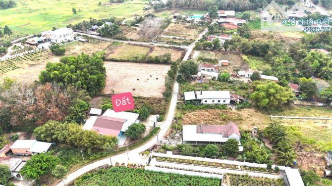 Thái Mỹ, HCM bán lô đất diện tích rộng 700m2 sẵn thổ cư giá 3,8ty - 3