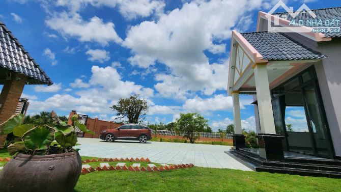 Bán nhà vườn 2.200m² tại An Ninh Đông, Đức Hòa – Gần TP.HCM, sổ hồng riêng - 3