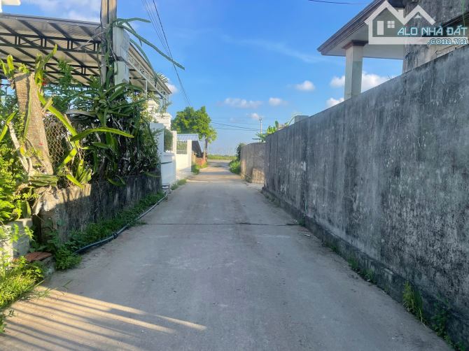 Bán lô đất 93m2 ngang 5m Thù Du Minh Tân Kiến Thụy giá 985 triệu - 3
