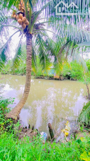 Bán đất 3.100 m2 hẻm Nguyễn Văn Linh có view sông - 3