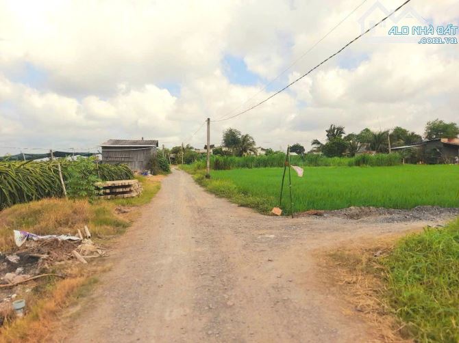 Hàng thơm, 783m2 đất thổ view kênh cực đẹp chỉ 1 tỷ 50tr - 3