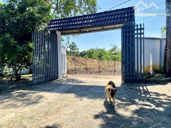 ✨ Hơn 6.100M2 (thực tế gần 7.000M2) đường hiện hữu 4M, bám suối, có ao cá mênh mông - 5 TỶ - 3