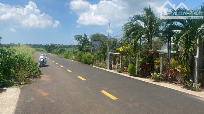 Bán đất Đất Đỏ đường nhựa Cao Văn Ngọc 198m ngang 6x33 Sẵn Thổ cư - 5