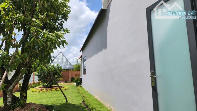 Bán nhà vườn 2.200m² tại An Ninh Đông, Đức Hòa – Gần TP.HCM, sổ hồng riêng - 4