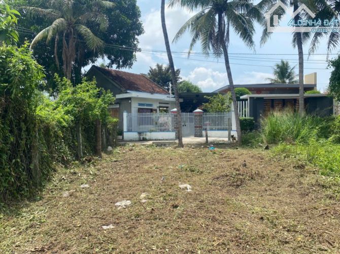 Bán đất Diên Lạc giá rẻ thôn Thanh Minh gần Tỉnh Lộ 2 - 4