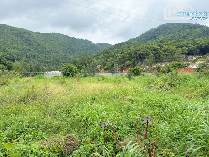 Bán 3.800m2 View Núi Có 300 Thổ Ngay Mặt Tiền Tuyến Tránh Bà Rịa - 4