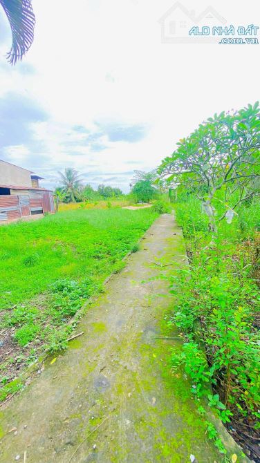Bán đất 3.100 m2 hẻm Nguyễn Văn Linh có view sông - 4