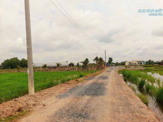 Hàng thơm, 783m2 đất thổ view kênh cực đẹp chỉ 1 tỷ 50tr - 4