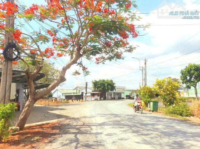 Hàng Thơm, 309m2 đất thổ view sông nhựt tảo chỉ 1.1 tỷ - 4
