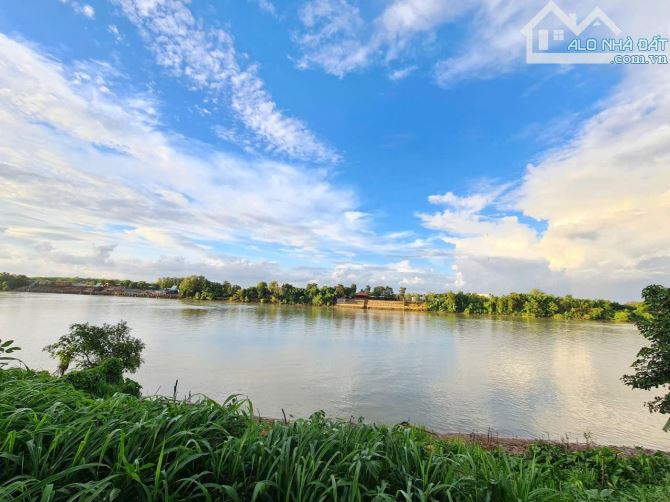 Bán Lô biệt thự CỰC HOT 1,7 xào mặt tiền VIEW sông Đồng Nai, mặt tiền đường 768 - 4