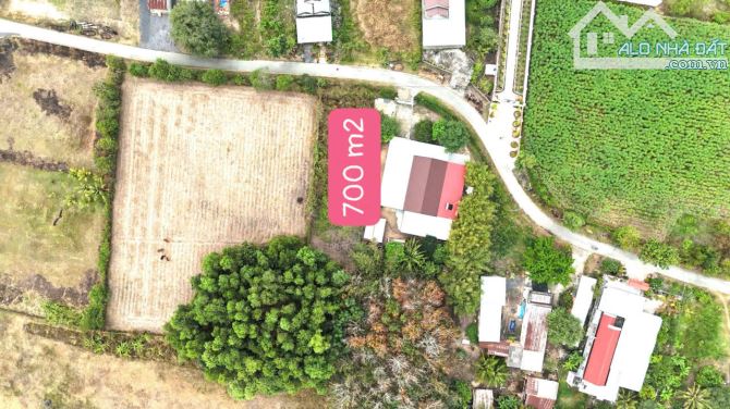 Thái Mỹ, HCM bán lô đất diện tích rộng 700m2 sẵn thổ cư giá 3,8ty - 5
