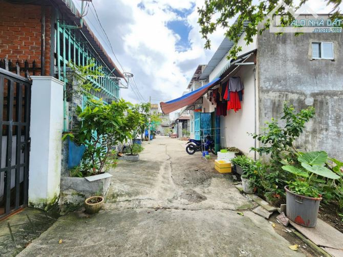 4,3Tỷ TL🔥Bán đất 230m2_Ngang 10m_Gần đường Bình Hòa 04, P.Bình Hòa, Tp Thuận An - 5