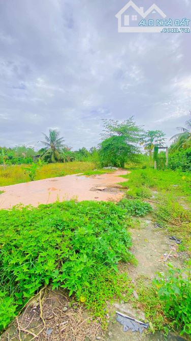 Bán đất 3.100 m2 hẻm Nguyễn Văn Linh có view sông - 5