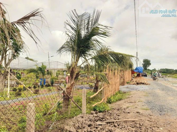 Hàng thơm, 783m2 đất thổ view kênh cực đẹp chỉ 1 tỷ 50tr - 5