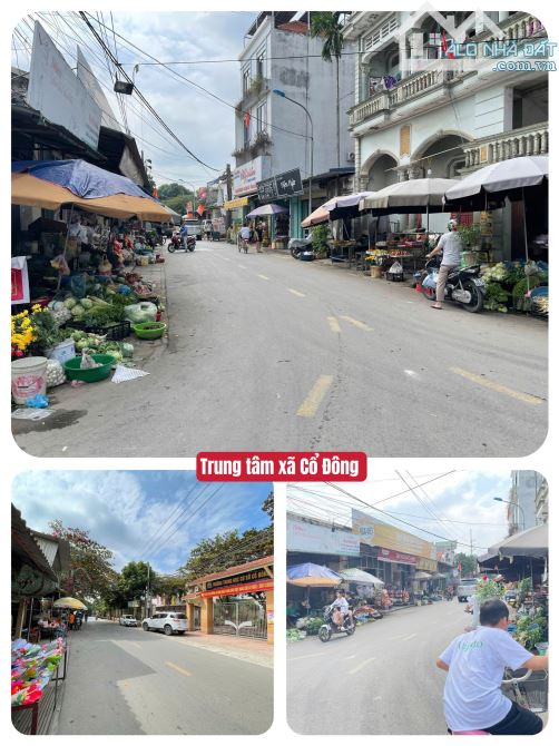 Bán mảnh đất 19tr/m2 tại Cổ Đông,Sơn Tây,vị trí tiềm năng,giá cực tốt - 5
