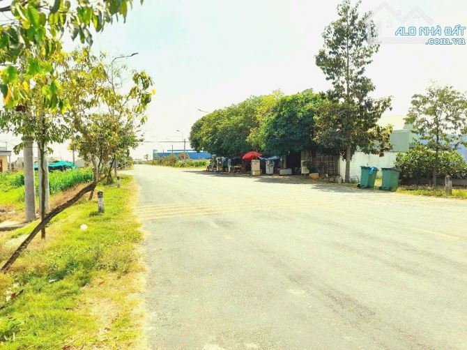 Hàng Thơm, 309m2 đất thổ view sông nhựt tảo chỉ 1.1 tỷ - 5